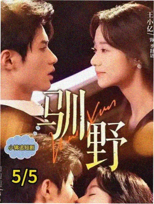 纳萨力克特别篇昴宿星团的一天剧照
